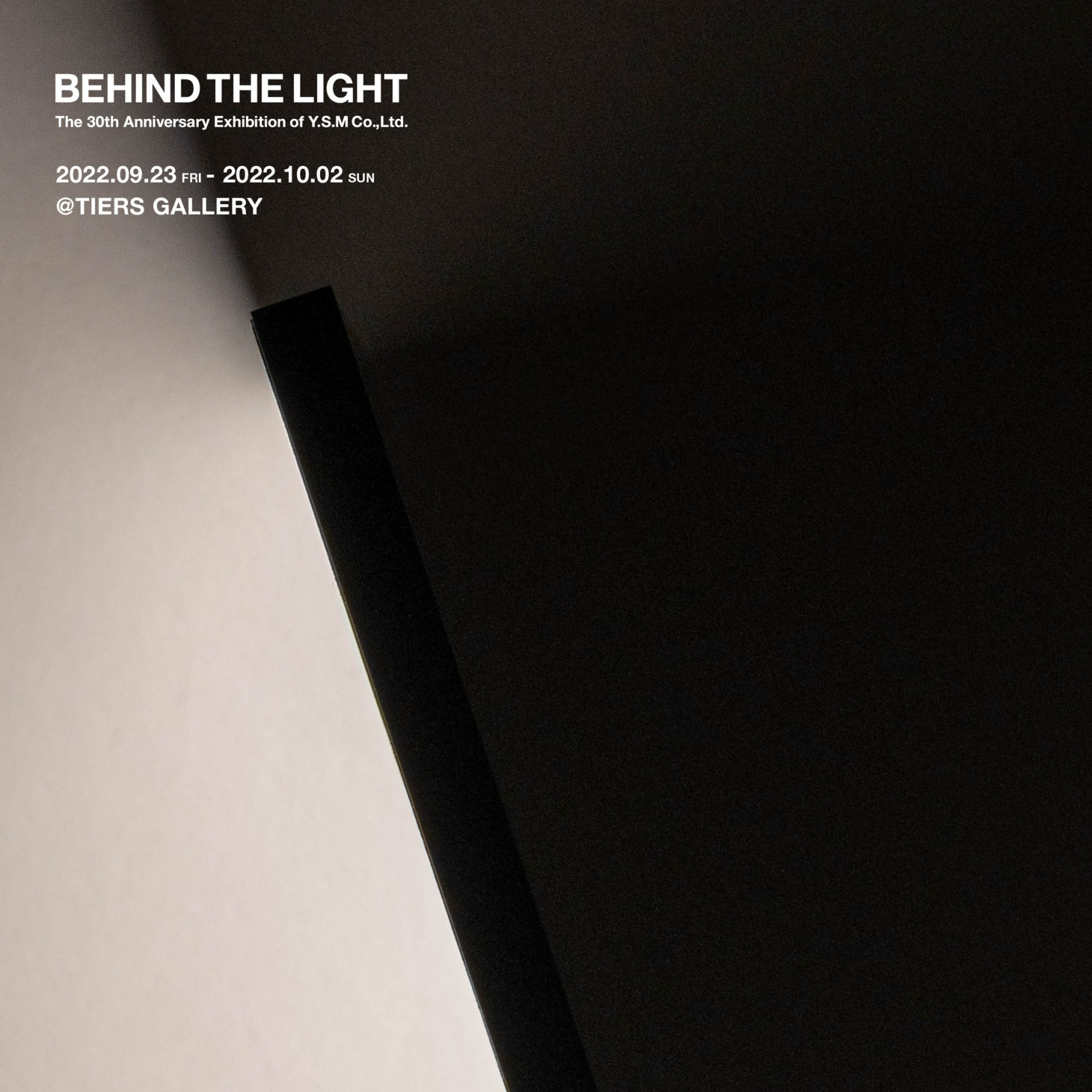 BEHIND THE LIGHT -株式会社ワイ・エス・エム創業30周年記念展-